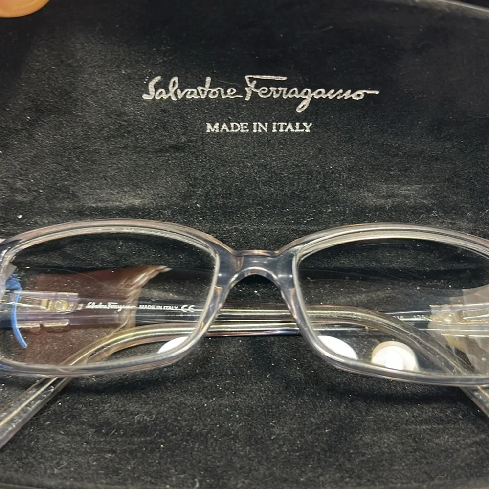 Salvatore Ferragamo frames with crystals and a case